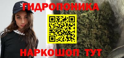 трава Лесосибирск