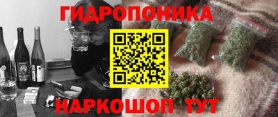трава Лесосибирск