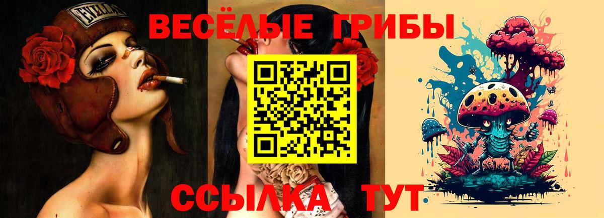 Псилоцибиновые грибы ЛСД Ейск