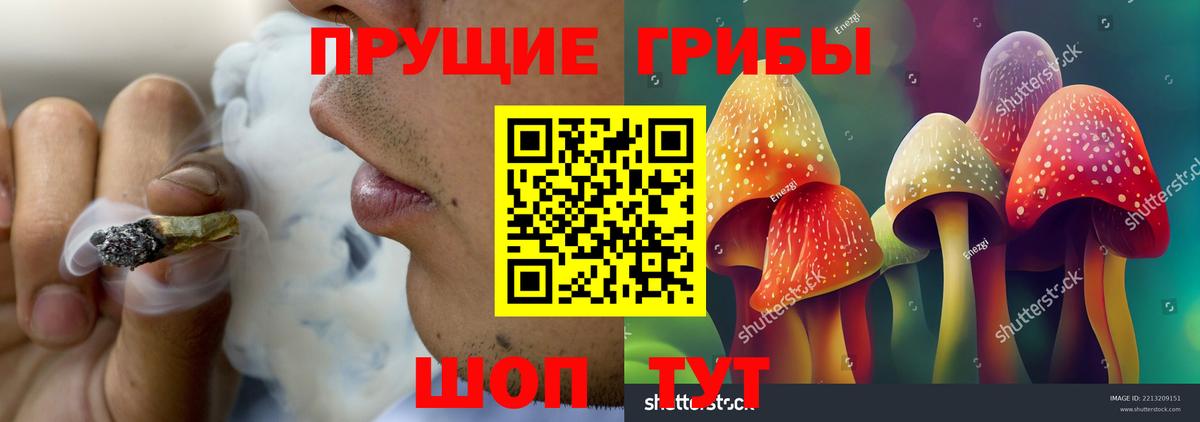 Галлюциногенные грибы Magic Shrooms  Вход с VPN  Ейск 